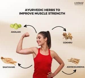 Improving Muscle Strength With Ayurvedic Remedies 1