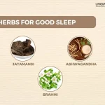 Tuck Into Sound Sleep With These Ayurvedic Remedies 12 11zon