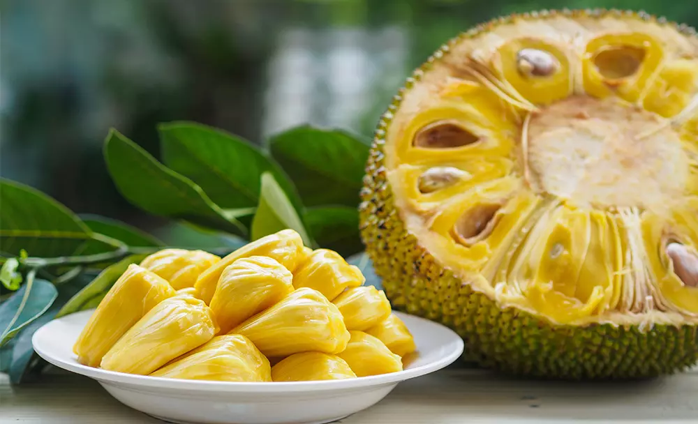 jackfruit benefits - livayur