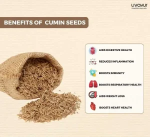 10 Incredible Health Benefits of Cumin Seeds