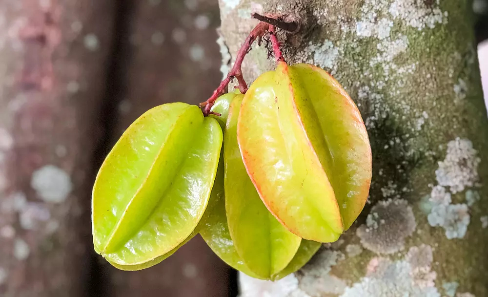 star fruit benefits - Improves Heart Health