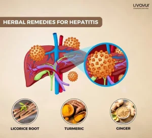 Hepatitis Definition Symptoms Types Causes Treatment more 2 11zon