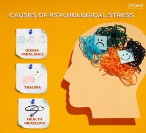What is Psychological Stress Types Causes Symptoms and Treatment 3