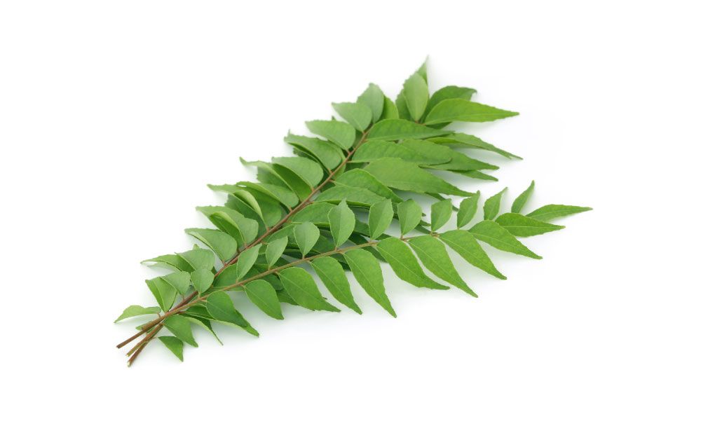 curry leaves - livayur