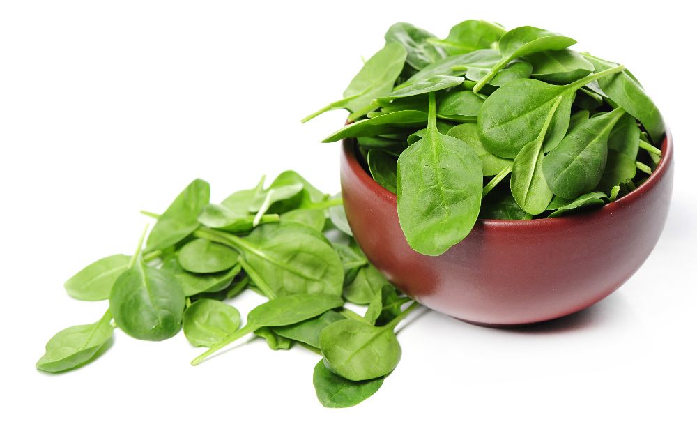 Spinach - iron rich foods for anemia
