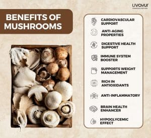 10 Health Benefits of Mushroom 2