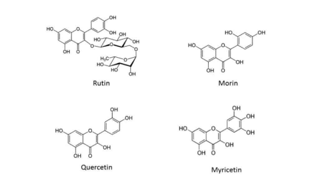 mulberry fruit nutrition