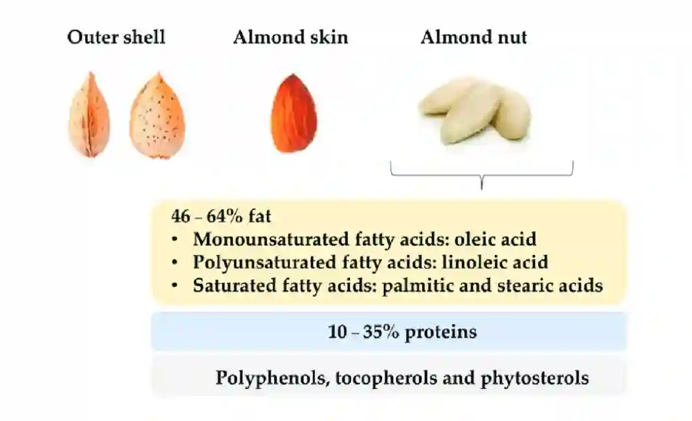 almond milk nutrition