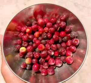 falsa fruit - livayur