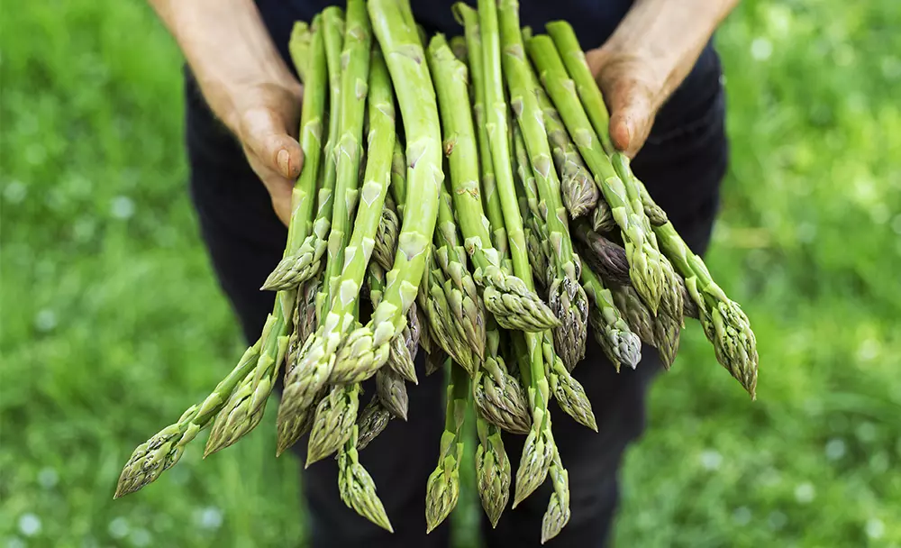 Pregnancy - asparagus benefits