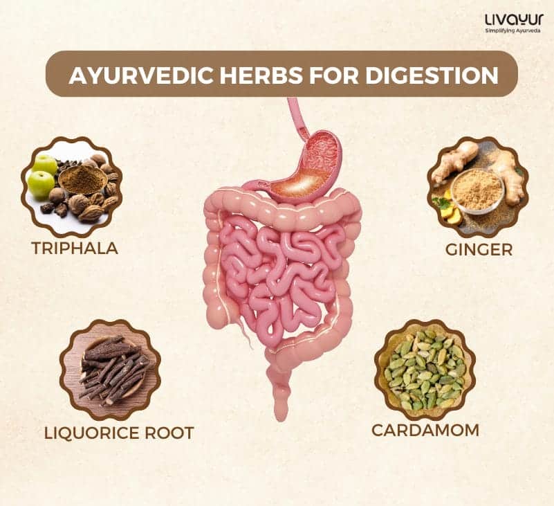 6 Ayurvedic herbs to aid digestion 1