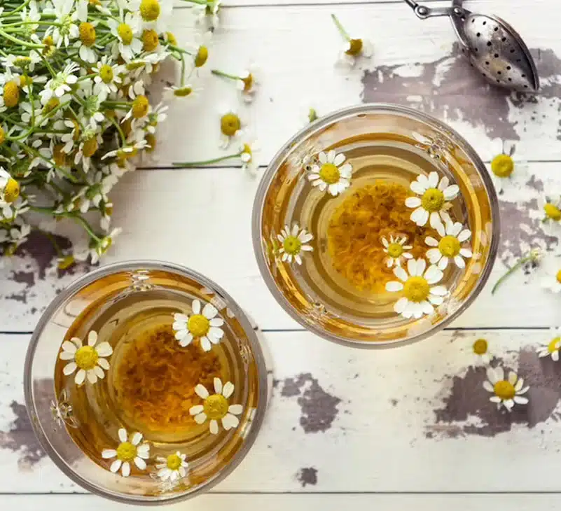 Chamomile Tea Benefits