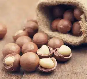 macadamia nuts - livayur