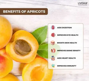 apricot benefits