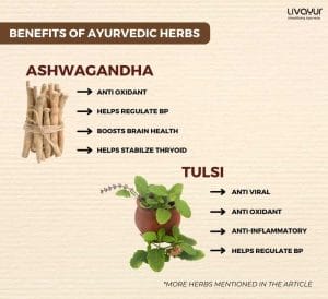 Ayurvedic Herbs with Science Backed Benefits 2