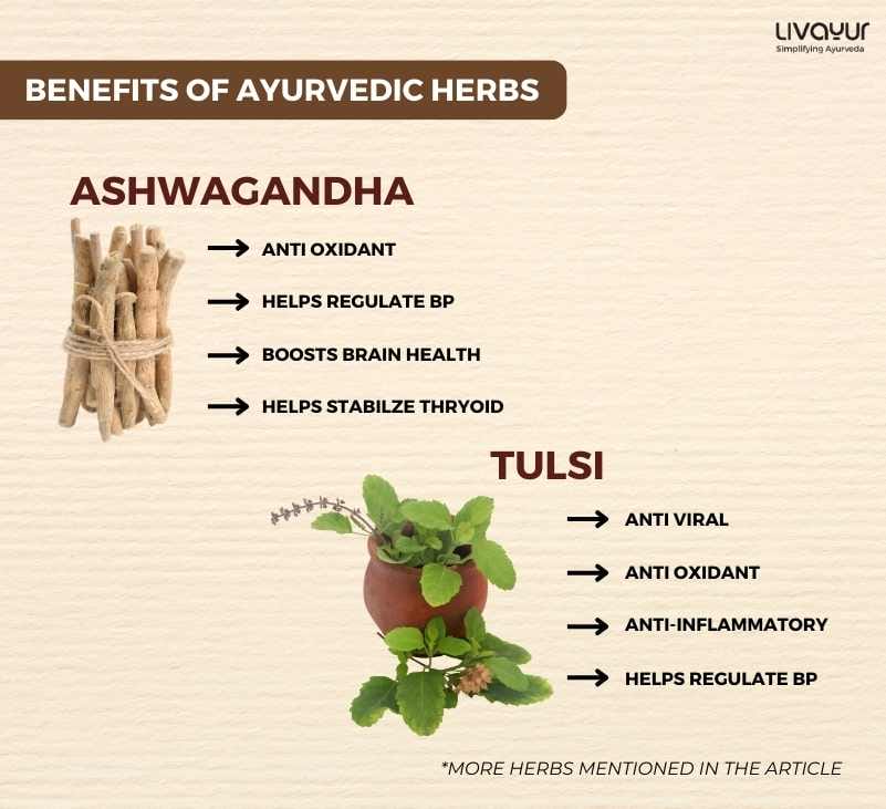 Ayurvedic Herbs with Science Backed Benefits 2