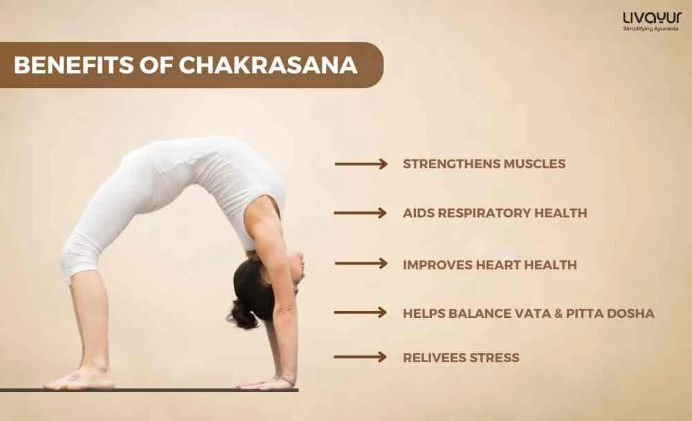 Chakrasana Wheel Pose Benefits How To Do It Step by Step 1 2