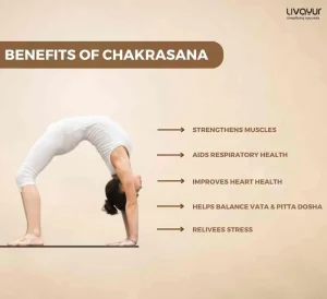 Chakrasana Wheel Pose Benefits How To Do It Step by Step 3