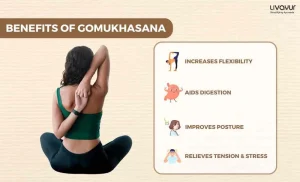 Gomukhasana Benefits of Gomukhasana How to do it Step by Step 3