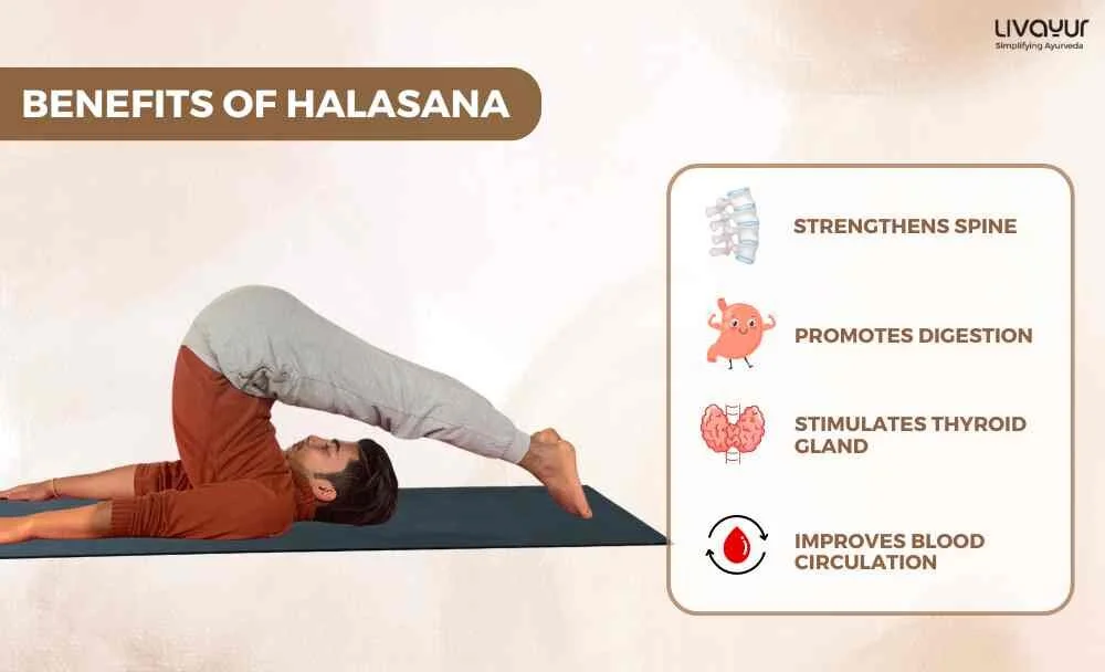 Halasana What is it Benefits How To Do It Step By Step 1 1