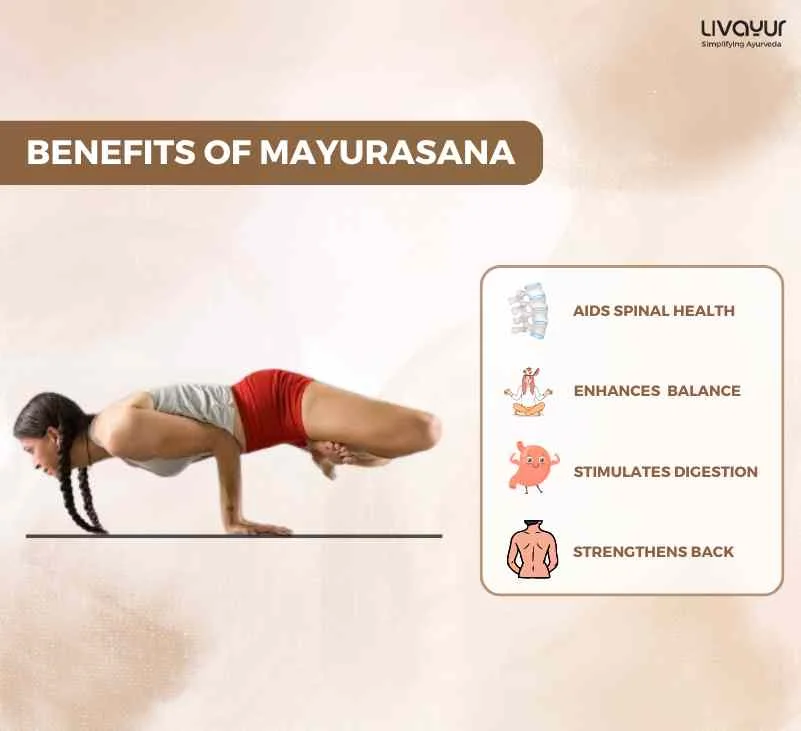 Mayurasana What Is It Benefits How To Do It Step By Step