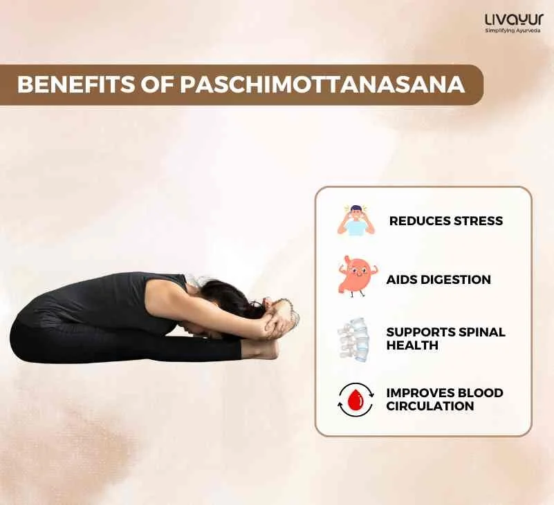 Paschimottanasana Seated Forward Bend Benefits How To Do It 1 1