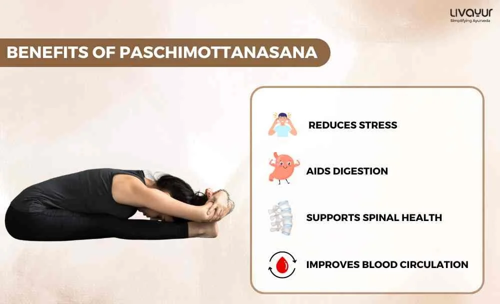 Paschimottanasana Seated Forward Bend Benefits How To Do It 2