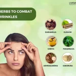 Wrinkles Types Causes Treatment