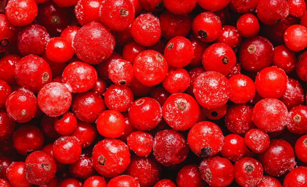 cranberry benefits - livayur