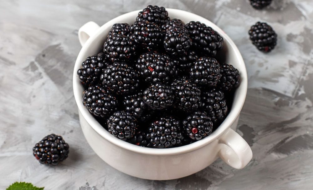 blackberry fruit - livayur