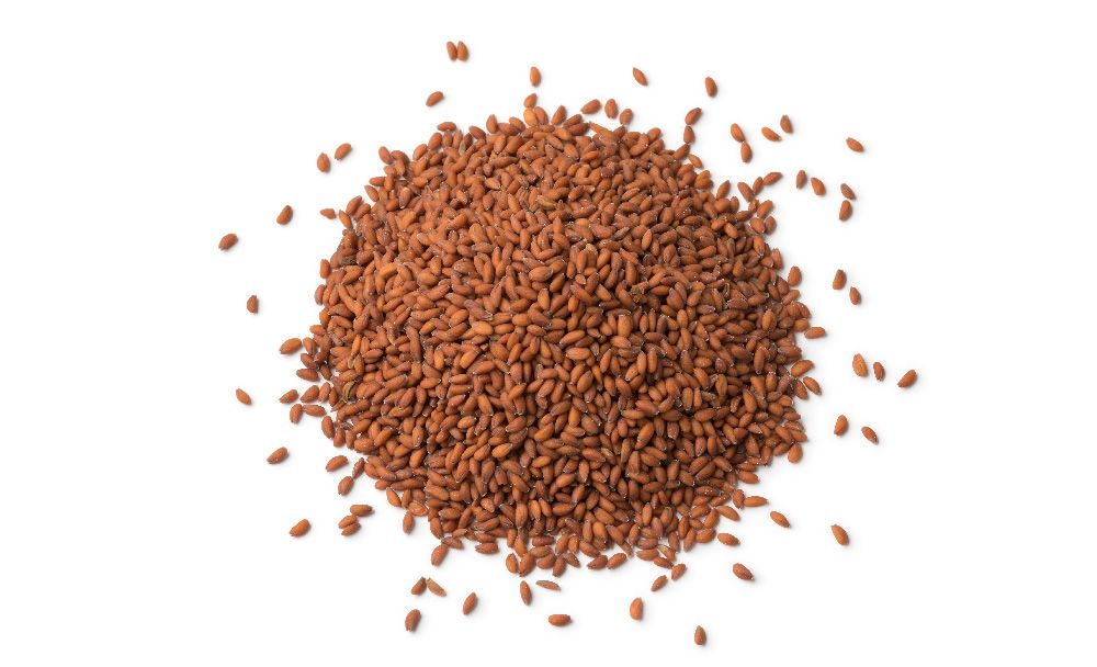 halim seeds benefits - livayur