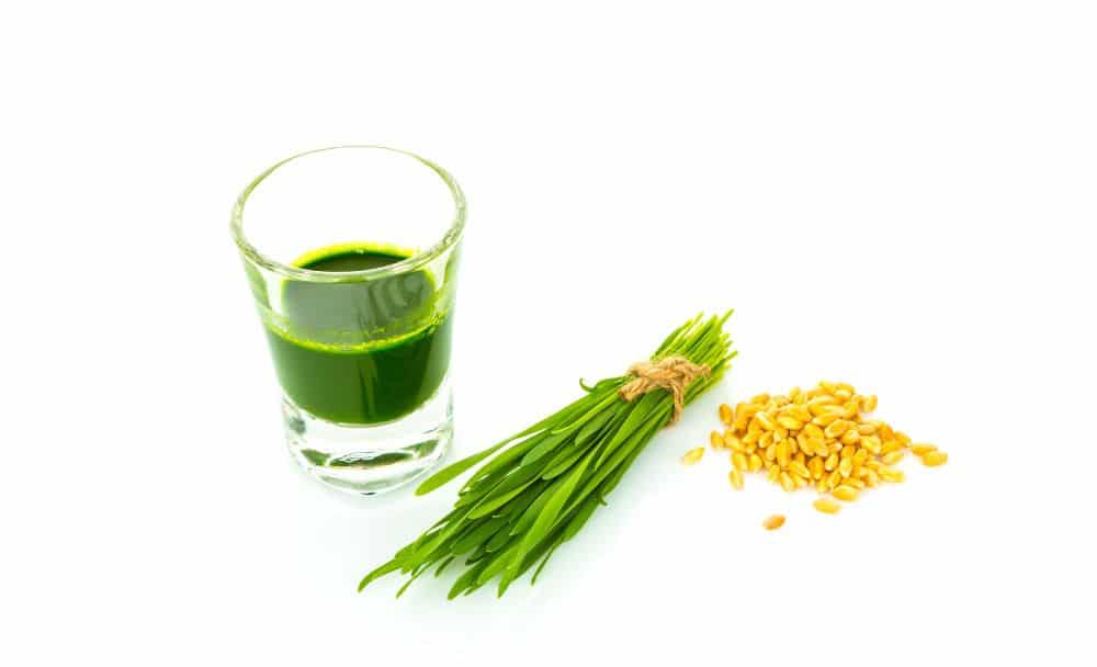 detoxifies body - benefits of wheatgrass