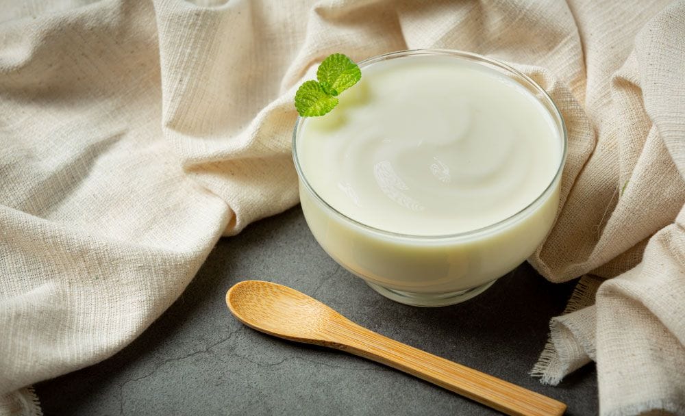 yogurt - sabja seeds uses