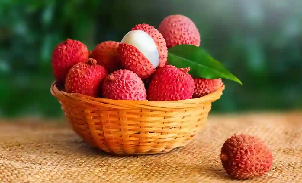 lychee fruit - livayur