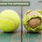 Testicular Cancer 3
