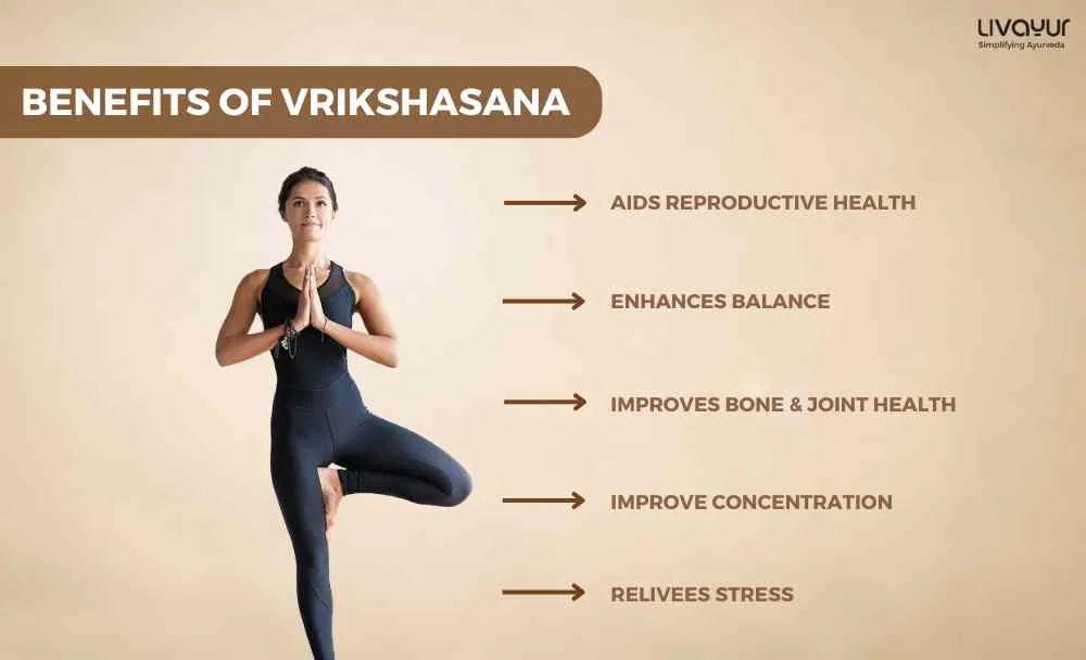 Vrikshasana Benefits of Vrikshasana How To Do It Step by Step 1