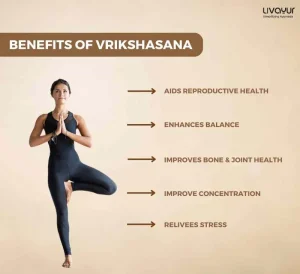Vrikshasana Benefits of Vrikshasana How To Do It Step by Step
