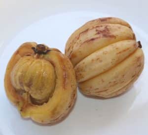 garcinia - livayur