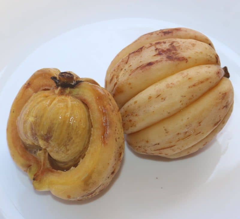 garcinia - livayur