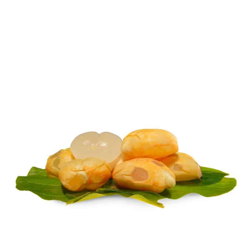 ice apple - livayur