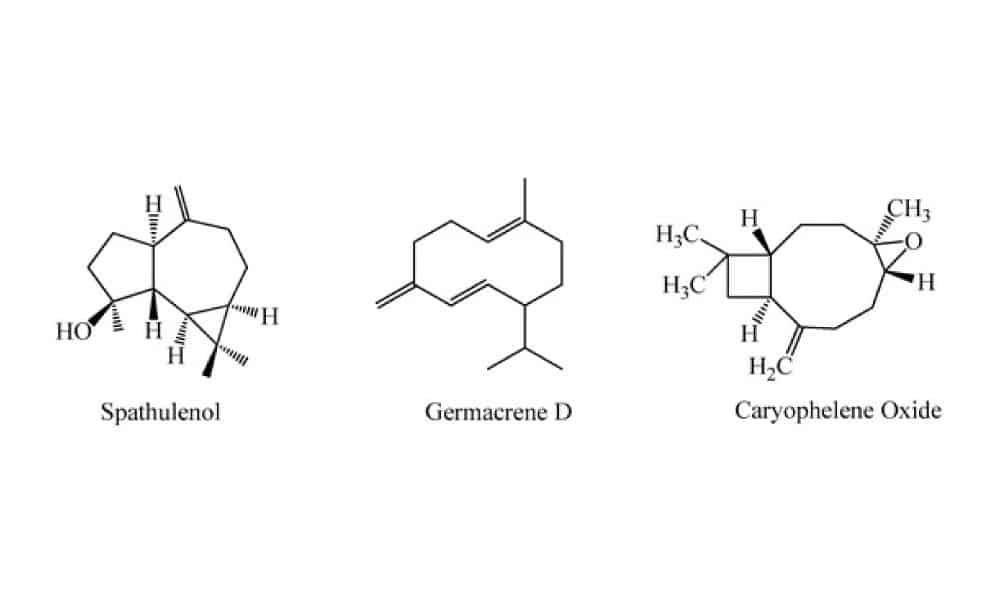 chemical structure of akarkara