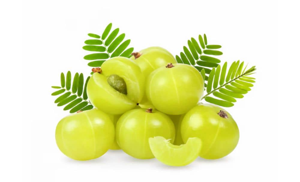 Amla an Ayurvedic remedy for all gastrointestinal issues