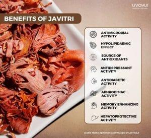 12 Amazing Health Benefits of Maze Spice Javitri 1