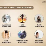 15 Best Full Body Stretching Exercises 3