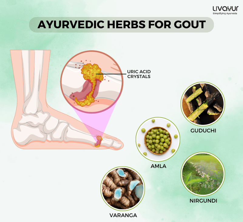 gout treatment - livayur