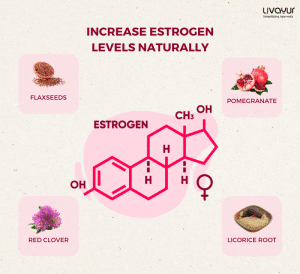 how to increase estrogen - livayur