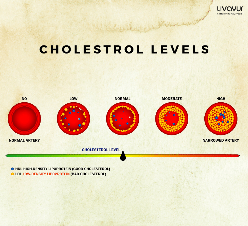 how to reduce cholesterol - livayur