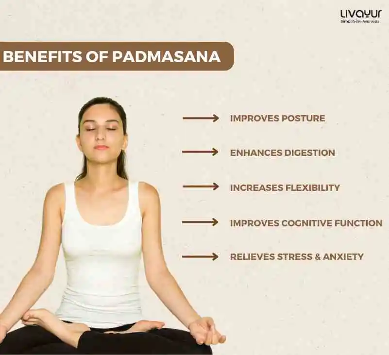 Padmasana Lotus Pose Benefits How to Do it and Precautions 1