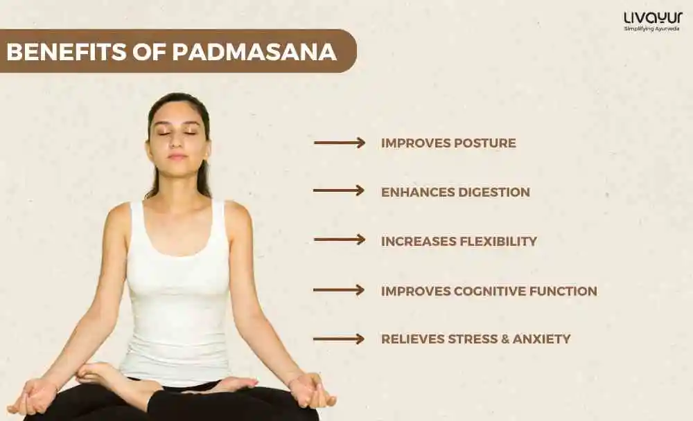 Padmasana Lotus Pose Benefits How to Do it and Precautions