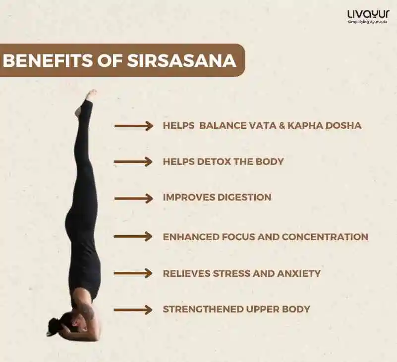 Sirsasana Headstand Benefits How to do Sirsasana Step by Step 1